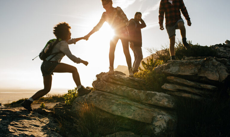 Hedgehog Committee Formed